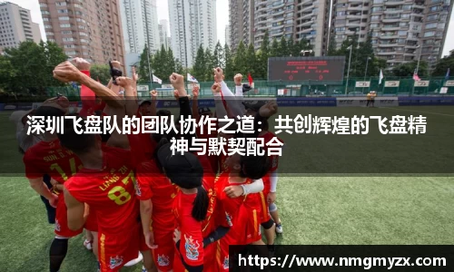 深圳飞盘队的团队协作之道：共创辉煌的飞盘精神与默契配合
