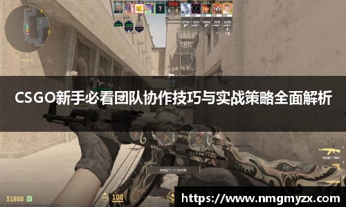 CSGO新手必看团队协作技巧与实战策略全面解析
