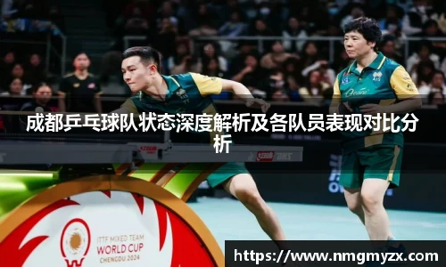 成都乒乓球队状态深度解析及各队员表现对比分析