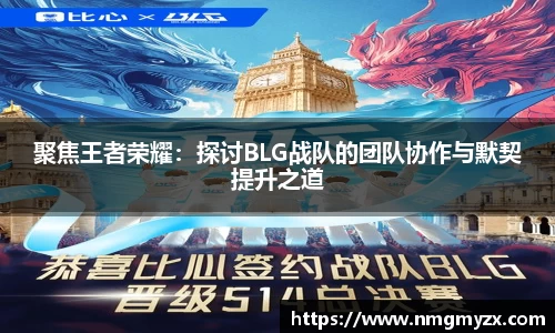 聚焦王者荣耀：探讨BLG战队的团队协作与默契提升之道
