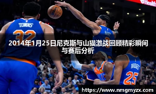 2014年1月25日尼克斯与山猫激战回顾精彩瞬间与赛后分析