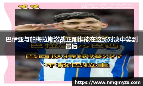 BB贝博登录入口