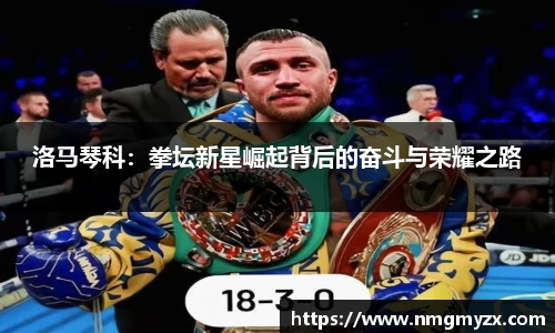 洛马琴科：拳坛新星崛起背后的奋斗与荣耀之路